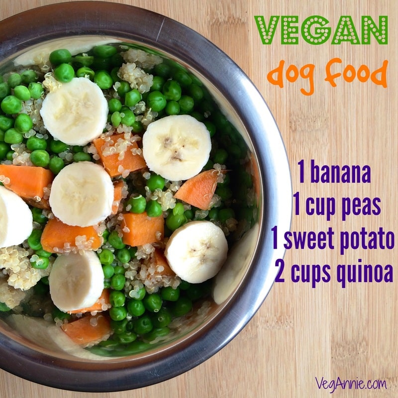 vegan dog food, vegetarian dog food, vegan dog food recipe, vegetarian dog food recipe, vegan dogs, gluten free dog food