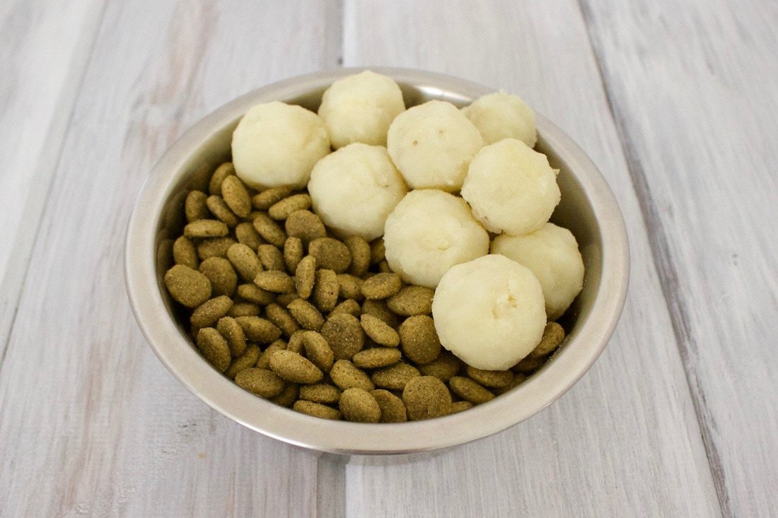 Healthy Homemade Dog Food: Mashed Potato Bites! (Vegan, Gluten-Free, Oil-Free)